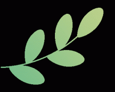 细心守护“落日红 