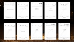 <b>进一步加强了任</b>