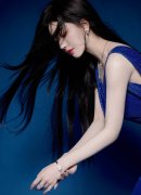 上海多家国企采购特斯拉odelY